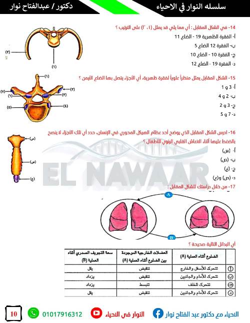 مدرس دوت كوم مراجعه احياء للثانويه العامه أ/  عبدالفتاح نوار