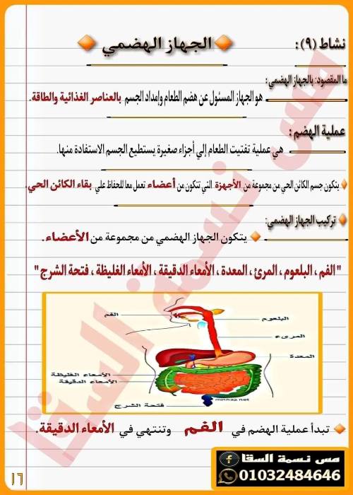 مدرس دوت كوم مذكره في العلوم الصف الرابع الابتدائي الترم الاول أ/ نسمه السقا