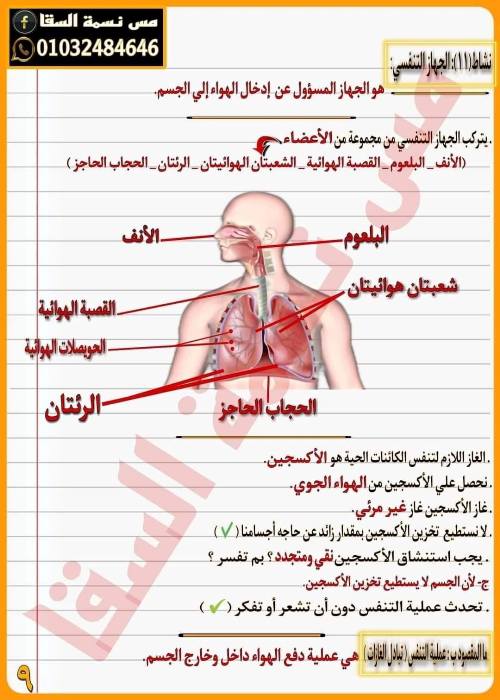 مدرس اول مذكره في العلوم الصف الرابع الابتدائي الترم الاول أ/ نسمه السقا