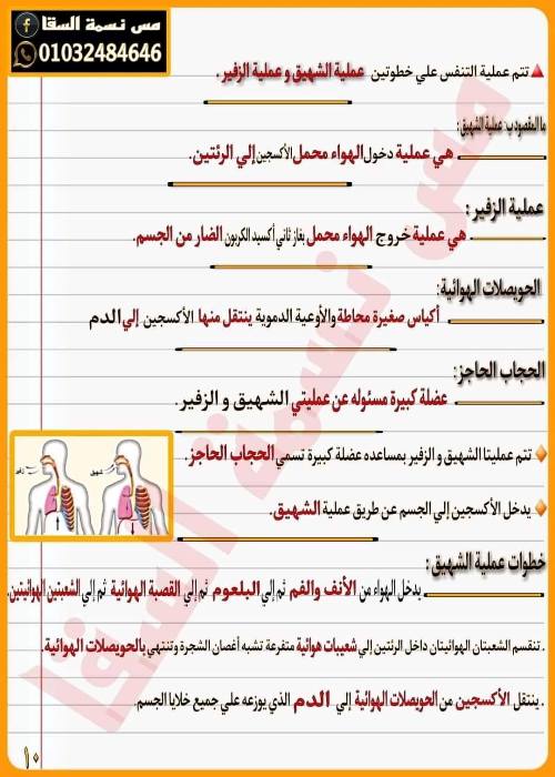 مدرس اول مذكره في العلوم الصف الرابع الابتدائي الترم الاول أ/ نسمه السقا