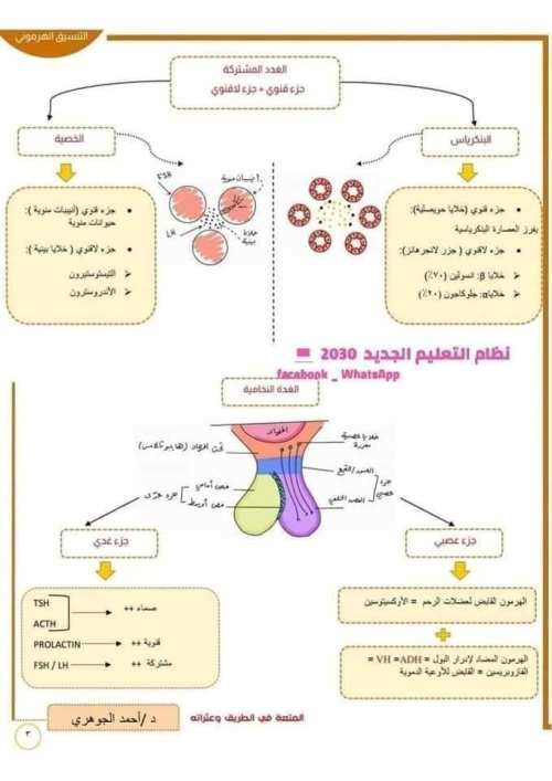 مدرس دوت كوم مخطط لحل أى سؤال فى الهرمونات علمى علوم الصف الثالث الثانوى  أ/ احمد اجوهري