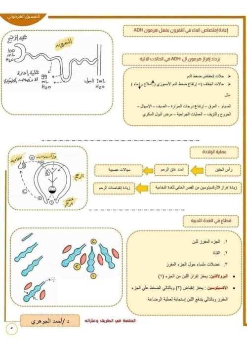 مدرس دوت كوم مخطط لحل أى سؤال فى الهرمونات علمى علوم الصف الثالث الثانوى  أ/ احمد اجوهري