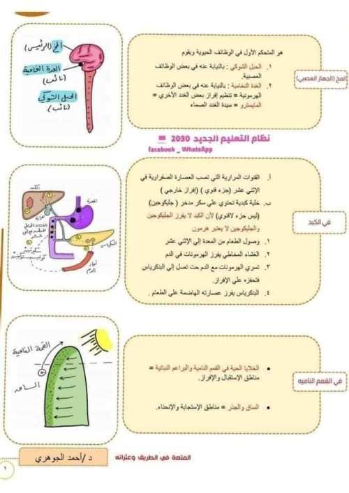 مدرس اول مخطط لحل أى سؤال فى الهرمونات علمى علوم الصف الثالث الثانوى  أ/ احمد اجوهري