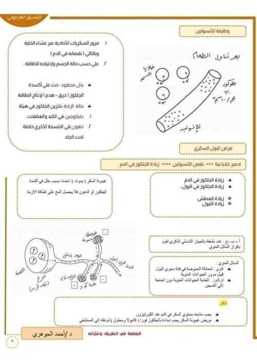 مدرس دوت كوم مخطط لحل أى سؤال فى الهرمونات علمى علوم الصف الثالث الثانوى  أ/ احمد اجوهري