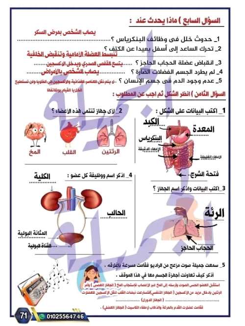 مدرس دوت كوم إجابة بنك أسئلة المفهوم الثانى (الجسم كنظام ) فى مادة العلوم الصف السادس الابتدائى الترم الاول أ/ جميلة الصعيدى 