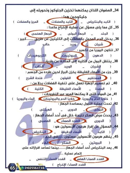 مدرس دوت كوم إجابة بنك أسئلة المفهوم الثانى (الجسم كنظام ) فى مادة العلوم الصف السادس الابتدائى الترم الاول أ/ جميلة الصعيدى 