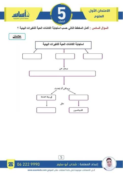 مدرس اول مراجعة مقرر أكتوبر في جميع المواد الصف الخامس الابتدائي الترم الاول (الجزء الثالث)