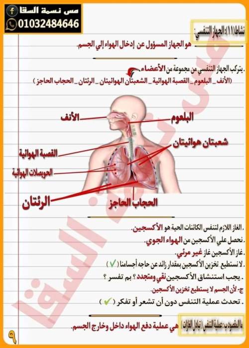 مدرس دوت كوم ملخص المفهوم الأول علوم الصف الرابع الابتدائي الترم الاول 