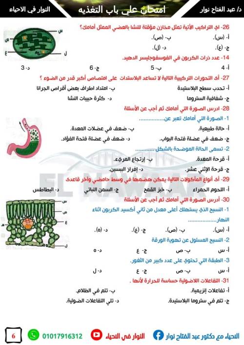 مدرس دوت كوم امتحان 100 سوال شامل علي باب التغذيه في الاحياء الصف الثاني الثانوي أ/ عبد الفتاح نوار