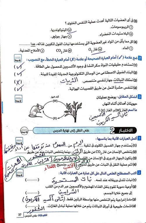 مدرس اول مراجعه في العلوم الصف الاول الاعدادي الترم الاول