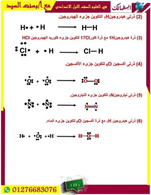 مدرس اول مراجعه شهر نوفمبر في العلوم اللصف الاول الاعدادي أ/ بسنت السيد