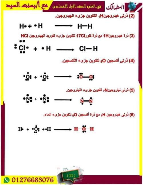 مدرس اول مراجعة شهر نوفمبر بالاجابات فى مادة العلوم الصف الاول الاعدادى الترم الاول أ/ بسنت السيد 