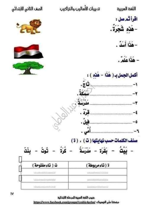 مدرس دوت كوم تدريبات فى الاساليب والتراكيب فى النحو(الجزء الثانى) للصف الثاني الابتدائي الترم الاول أ/ احمد بدير عبدالعاطي