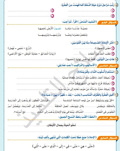 مدرس اول مراجعة شهر نوڤمــبر فى اللغة العربية (الجزء الثانى) الصف الثالث الابتدائى الترم الاول