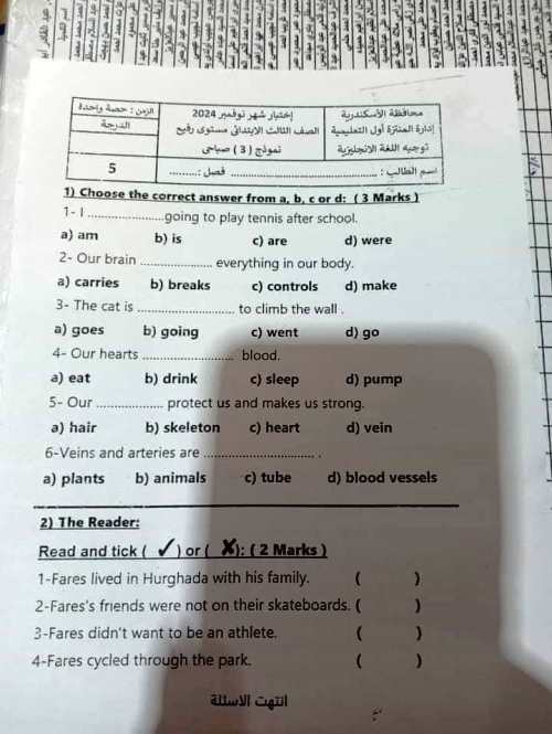 مدرس اول تجميع نماذج اختبارات لغة إنجليزية لشهر نوفمبر الصف الثالث والرابع والخامس والسادس الابتدائي الترم الاول