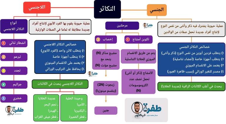 مدرس اول ملخص درس التكاثر الجنسي واللاجنسي فى مادة العلوم الصف الثالث الاعدادى الترم الاول أ/ محمد دياب 