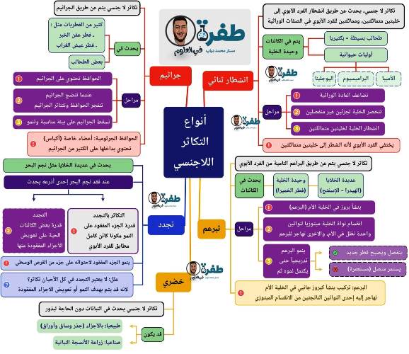 مدرس اول ملخص درس التكاثر الجنسي واللاجنسي فى مادة العلوم الصف الثالث الاعدادى الترم الاول أ/ محمد دياب 