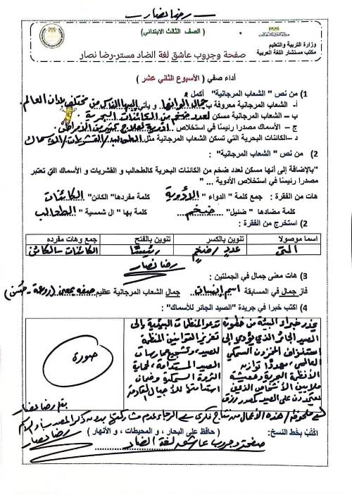 مدرس دوت كوم  تقييمات الأسبوع 12 في اللغة العربية للصفوف الثالث و السادس الإبتدائي  أ/ رضا نصار