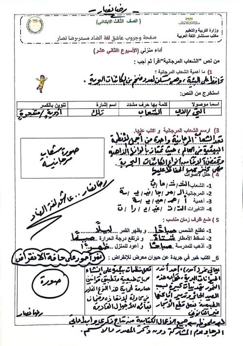 مدرس دوت كوم  تقييمات الأسبوع 12 في اللغة العربية للصفوف الثالث و السادس الإبتدائي  أ/ رضا نصار