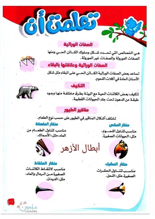 معلم خبير مراجعة فى مادة اكتشف بالاجابات الصف الثالث الابتدائي ترم ثاني